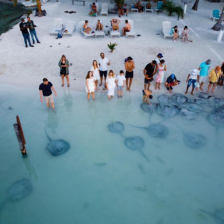 Blue Bay Cottage Caye Caulker Exteriör bild