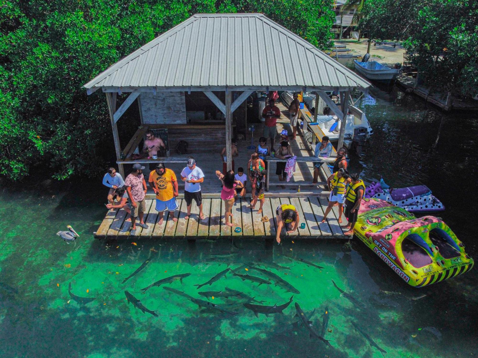 Blue Bay Cottage Caye Caulker Exteriör bild